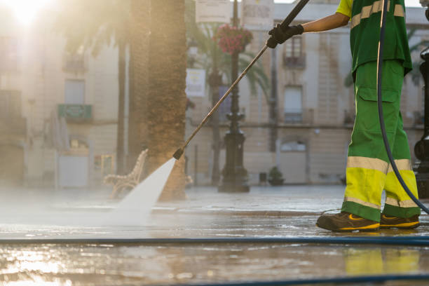 Best Roof Washing  in Little Ferry, NJ
